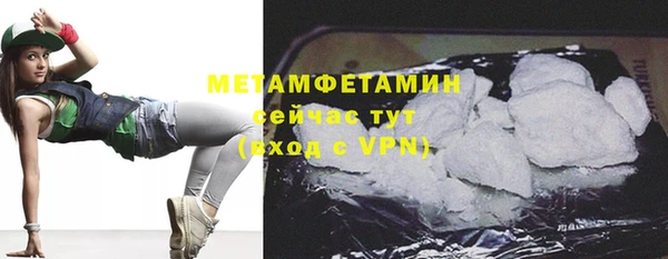 прущие грибы Каменка