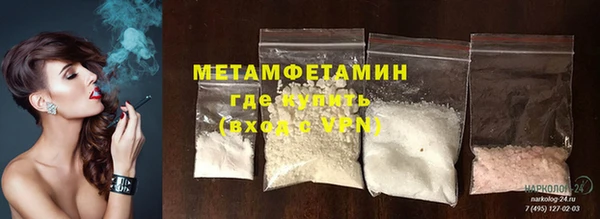 прущие грибы Каменка