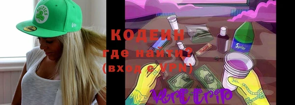 прущие грибы Каменка