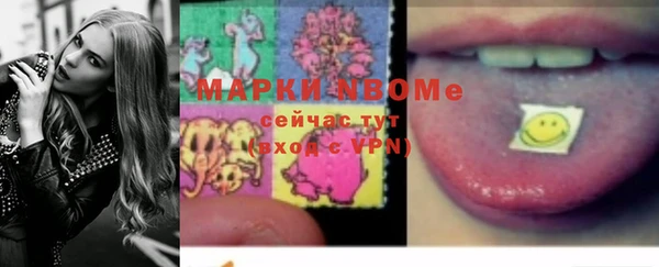 прущие грибы Каменка