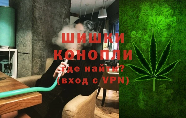 прущие грибы Каменка