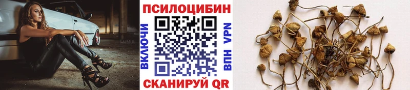Галлюциногенные грибы GOLDEN TEACHER Кимовск
